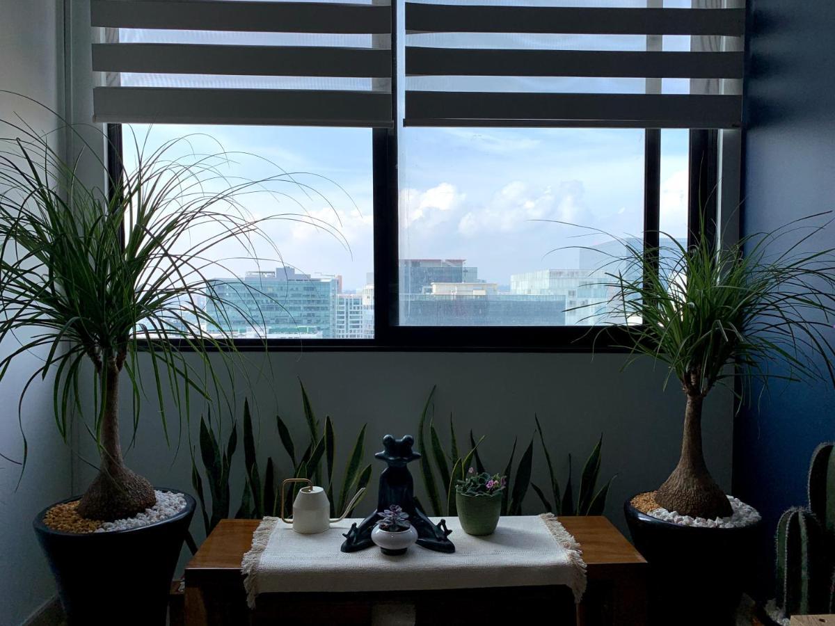 Blue Horse Apartment In New Polanco. Meksyk Zewnętrze zdjęcie