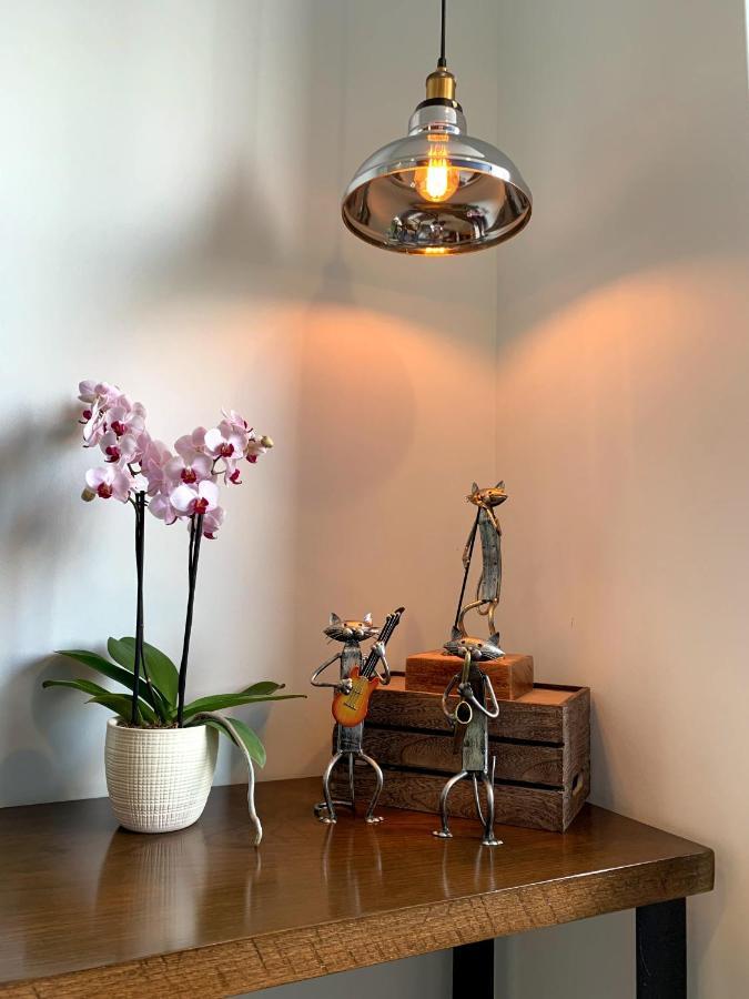 Blue Horse Apartment In New Polanco. Meksyk Zewnętrze zdjęcie